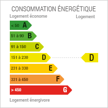 Consommation énergétique 230