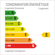 Consommation énergétique 242