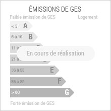 Emission de gaz à effet de serre 